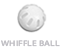 Whiffle_Ball